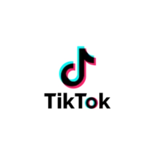 TikTok logo design